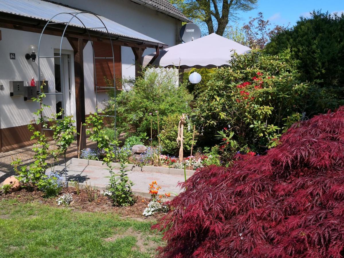 Charmante Ferienwohnung 3 Zimmer Kueche Bad zentrale Lage Hagen im Bremischen Exterior foto